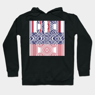 4th July, Independence Day , USA Hoodie